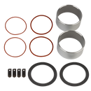 Airsep Visionaire 2L und 3L Kompressor Reparatursatz - 115V